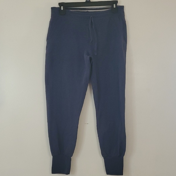Patagonia Organic Cotton Womens Joggers Size Small Blue - Picture 1 of 14